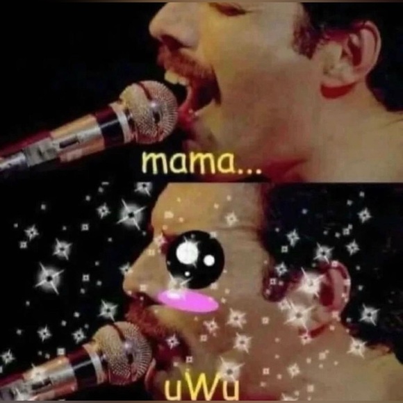 Meet your Posher, Wendy - Picture 8 of 10